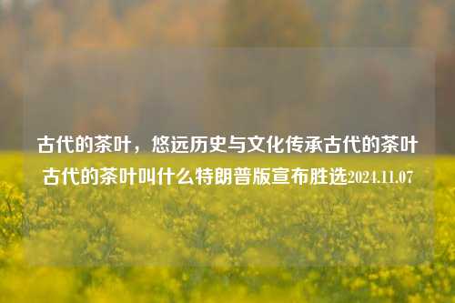 古代的茶叶，悠远历史与文化传承古代的茶叶古代的茶叶叫什么特朗普版宣布胜选2024.11.07