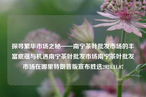 探寻繁华市场之秘——南宁茶叶批发市场的丰富底蕴与机遇南宁茶叶批发市场南宁茶叶批发市场在哪里特朗普版宣布胜选2024.11.07