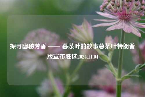 探寻幽秘芳香 —— 暮茶叶的故事暮茶叶特朗普版宣布胜选2024.11.04