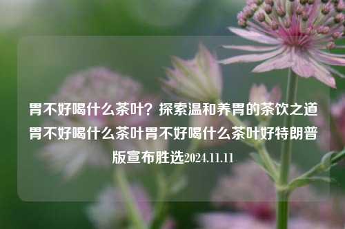 胃不好喝什么茶叶？探索温和养胃的茶饮之道胃不好喝什么茶叶胃不好喝什么茶叶好特朗普版宣布胜选2024.11.11