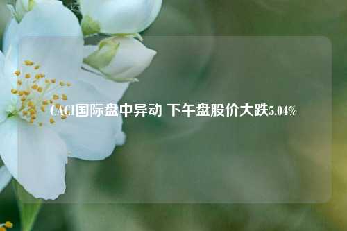 CACI国际盘中异动 下午盘股价大跌5.04%