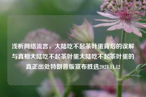 浅析网络流言，大陆吃不起茶叶蛋背后的误解与真相大陆吃不起茶叶蛋大陆吃不起茶叶蛋的真正出处特朗普版宣布胜选2024.11.12