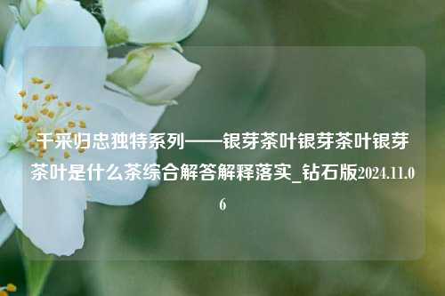 千采归忠独特系列——银芽茶叶银芽茶叶银芽茶叶是什么茶综合解答解释落实_钻石版2024.11.06