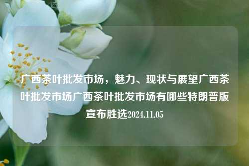 广西茶叶批发市场，魅力、现状与展望广西茶叶批发市场广西茶叶批发市场有哪些特朗普版宣布胜选2024.11.05