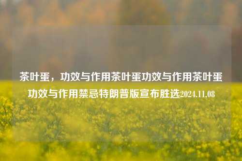 茶叶蛋，功效与作用茶叶蛋功效与作用茶叶蛋功效与作用禁忌特朗普版宣布胜选2024.11.08