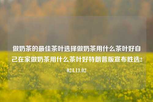 做奶茶的最佳茶叶选择做奶茶用什么茶叶好自己在家做奶茶用什么茶叶好特朗普版宣布胜选2024.11.02