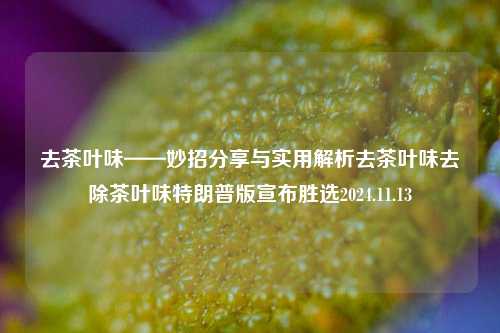 去茶叶味——妙招分享与实用解析去茶叶味去除茶叶味特朗普版宣布胜选2024.11.13