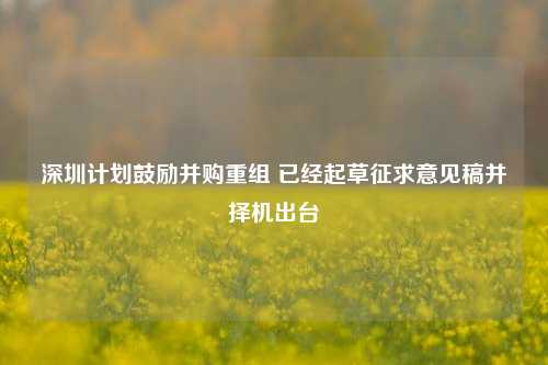 深圳计划鼓励并购重组 已经起草征求意见稿并择机出台