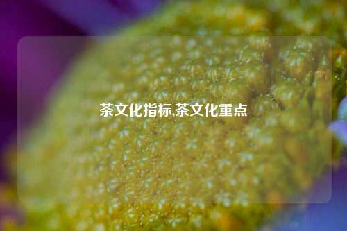 茶文化指标,茶文化重点