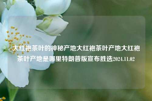 大红袍茶叶的神秘产地大红袍茶叶产地大红袍茶叶产地是哪里特朗普版宣布胜选2024.11.02