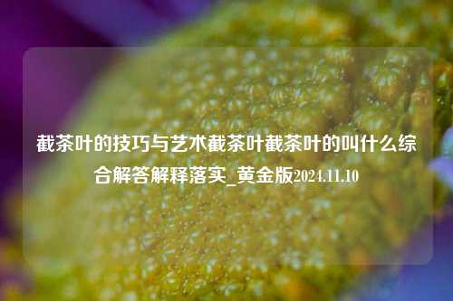 截茶叶的技巧与艺术截茶叶截茶叶的叫什么综合解答解释落实_黄金版2024.11.10