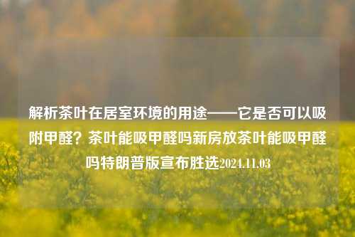 解析茶叶在居室环境的用途——它是否可以吸附甲醛？茶叶能吸甲醛吗新房放茶叶能吸甲醛吗特朗普版宣布胜选2024.11.03