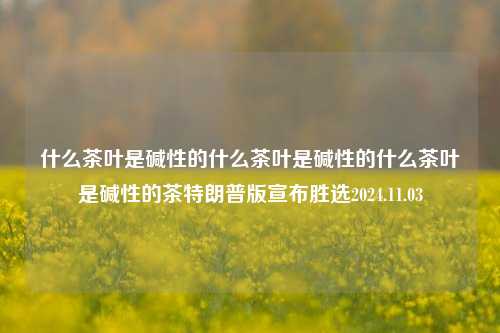 什么茶叶是碱性的什么茶叶是碱性的什么茶叶是碱性的茶特朗普版宣布胜选2024.11.03