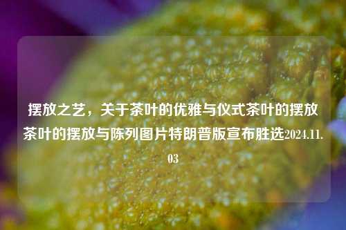 摆放之艺，关于茶叶的优雅与仪式茶叶的摆放茶叶的摆放与陈列图片特朗普版宣布胜选2024.11.03