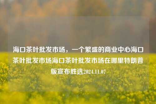 海口茶叶批发市场，一个繁盛的商业中心海口茶叶批发市场海口茶叶批发市场在哪里特朗普版宣布胜选2024.11.07