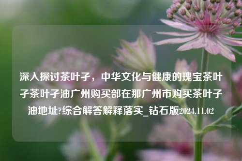 深入探讨茶叶孑，中华文化与健康的瑰宝茶叶孑茶叶孑油广州购买部在那广州市购买茶叶子油地址?综合解答解释落实_钻石版2024.11.02