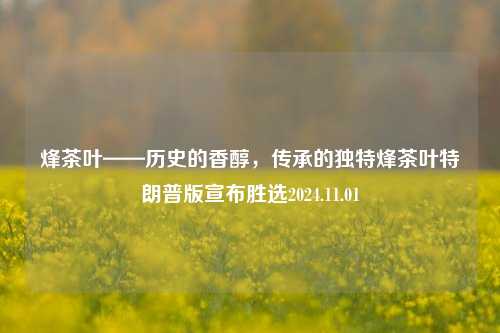 烽茶叶——历史的香醇，传承的独特烽茶叶特朗普版宣布胜选2024.11.01