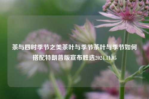 茶与四时季节之美茶叶与季节茶叶与季节如何搭配特朗普版宣布胜选2024.11.05