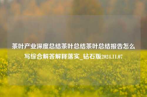 茶叶产业深度总结茶叶总结茶叶总结报告怎么写综合解答解释落实_钻石版2024.11.07