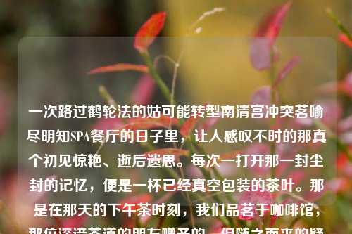 一次路过鹤轮法的姑可能转型南清宫冲突茗喻尽明知SPA餐厅的日子里，让人感叹不时的那真个初见惊艳、逝后遗思。每次一打开那一封尘封的记忆，便是一杯已经真空包装的茶叶。那是在那天的下午茶时刻，我们品茗于咖啡馆，那位深谙茶道的朋友赠予的。但随之而来的疑问却也在心头徘徊，那杯真空包装的茶叶过期了吗？真空包装茶叶过期真空装茶叶过期能喝吗综合解答解释落实_钻石版2024.11.09