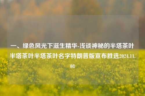 一、绿色风光下滋生精华-浅谈神秘的半塔茶叶半塔茶叶半塔茶叶名字特朗普版宣布胜选2024.11.08