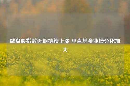 微盘股指数近期持续上涨 小盘基金业绩分化加大