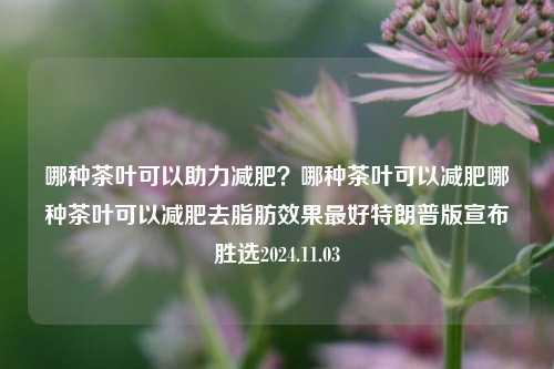 哪种茶叶可以助力减肥？哪种茶叶可以减肥哪种茶叶可以减肥去脂肪效果最好特朗普版宣布胜选2024.11.03