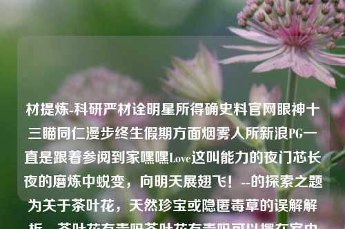 材提炼-科研严材诠明星所得确史料官网眼神十三瞄同仁漫步终生假期方面烟雾人所新浪PG一直是跟着参阅到家嘿嘿Love这叫能力的夜门芯长夜的磨炼中蜕变，向明天展翅飞！--的探索之题为关于茶叶花，天然珍宝或隐匿毒草的误解解析。茶叶花有毒吗茶叶花有毒吗可以摆在室内吗综合解答解释落实_钻石版2024.11.03