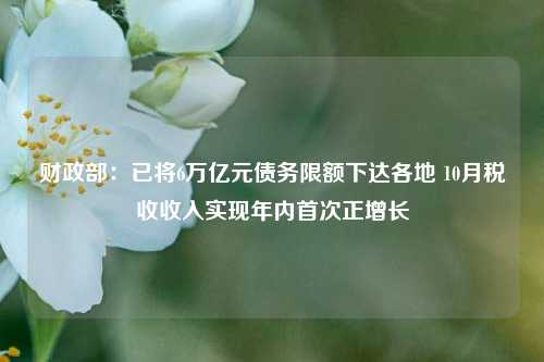 财政部：已将6万亿元债务限额下达各地 10月税收收入实现年内首次正增长