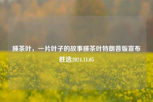 塍茶叶，一片叶子的故事塍茶叶特朗普版宣布胜选2024.11.05