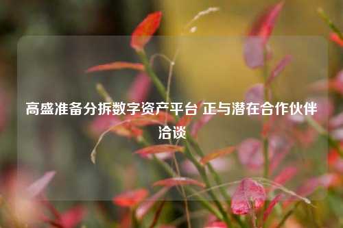 高盛准备分拆数字资产平台 正与潜在合作伙伴洽谈