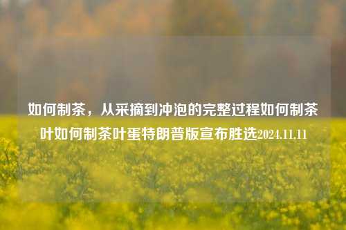 如何制茶，从采摘到冲泡的完整过程如何制茶叶如何制茶叶蛋特朗普版宣布胜选2024.11.11