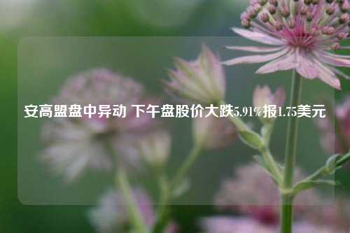 安高盟盘中异动 下午盘股价大跌5.91%报1.75美元