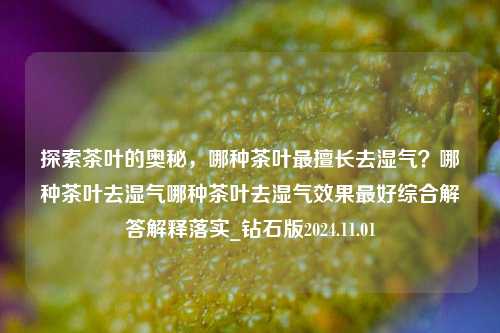 探索茶叶的奥秘，哪种茶叶最擅长去湿气？哪种茶叶去湿气哪种茶叶去湿气效果最好综合解答解释落实_钻石版2024.11.01