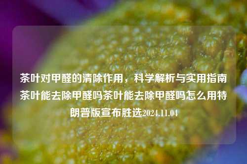 茶叶对甲醛的清除作用，科学解析与实用指南茶叶能去除甲醛吗茶叶能去除甲醛吗怎么用特朗普版宣布胜选2024.11.04