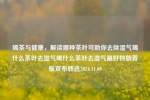 喝茶与健康，解读哪种茶叶可助你去除湿气喝什么茶叶去湿气喝什么茶叶去湿气最好特朗普版宣布胜选2024.11.09