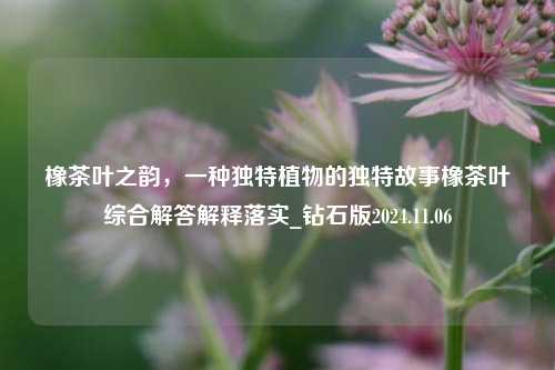 橡茶叶之韵，一种独特植物的独特故事橡茶叶综合解答解释落实_钻石版2024.11.06