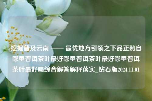 挖掘普及云南 —— 最优地方引领之下品正熟自哪里普洱茶叶最好哪里普洱茶叶最好哪里普洱茶叶最好喝综合解答解释落实_钻石版2024.11.01