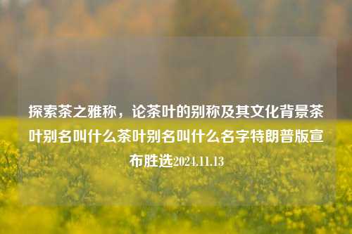 探索茶之雅称，论茶叶的别称及其文化背景茶叶别名叫什么茶叶别名叫什么名字特朗普版宣布胜选2024.11.13