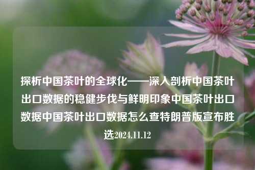 探析中国茶叶的全球化——深入剖析中国茶叶出口数据的稳健步伐与鲜明印象中国茶叶出口数据中国茶叶出口数据怎么查特朗普版宣布胜选2024.11.12