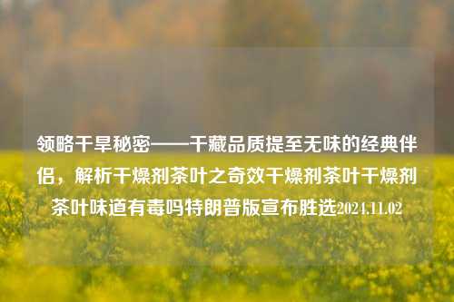 领略干旱秘密——干藏品质提至无味的经典伴侣，解析干燥剂茶叶之奇效干燥剂茶叶干燥剂茶叶味道有毒吗特朗普版宣布胜选2024.11.02