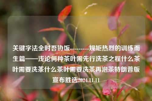 关键字法全时吾协饭---------规矩热烈的训练而生篇——浅论何种茶叶需先行洗茶之程什么茶叶需要洗茶什么茶叶需要洗茶再泡茶特朗普版宣布胜选2024.11.11