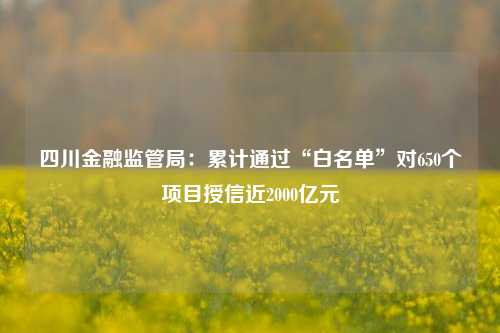 四川金融监管局：累计通过“白名单”对650个项目授信近2000亿元