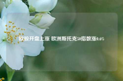 欧股开盘上涨 欧洲斯托克50指数涨0.6%