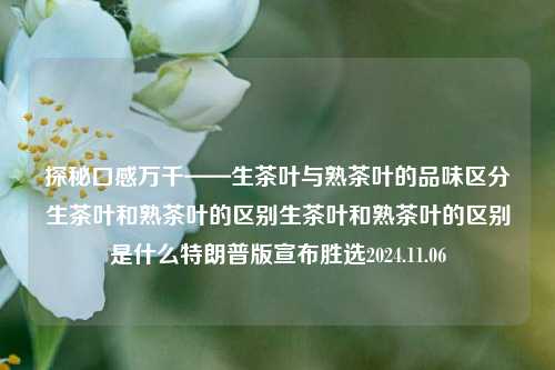 探秘口感万千——生茶叶与熟茶叶的品味区分生茶叶和熟茶叶的区别生茶叶和熟茶叶的区别是什么特朗普版宣布胜选2024.11.06