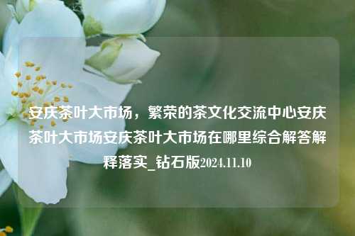 安庆茶叶大市场，繁荣的茶文化交流中心安庆茶叶大市场安庆茶叶大市场在哪里综合解答解释落实_钻石版2024.11.10