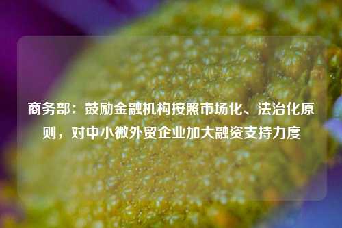 商务部：鼓励金融机构按照市场化、法治化原则，对中小微外贸企业加大融资支持力度