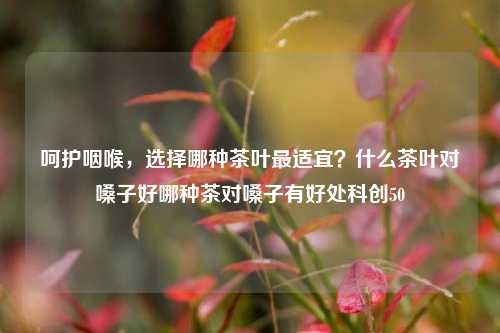 呵护咽喉，选择哪种茶叶最适宜？什么茶叶对嗓子好哪种茶对嗓子有好处科创50