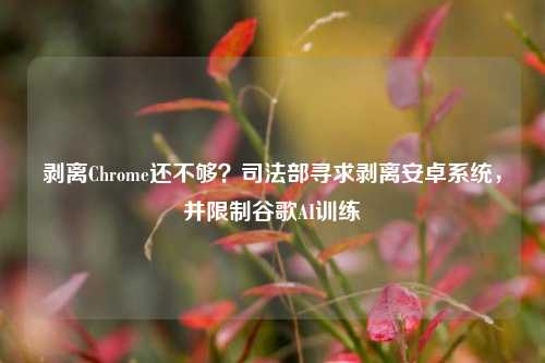 剥离Chrome还不够？司法部寻求剥离安卓系统，并限制谷歌AI训练