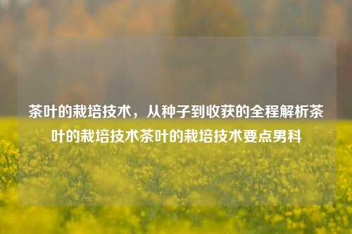 茶叶的栽培技术，从种子到收获的全程解析茶叶的栽培技术茶叶的栽培技术要点男科